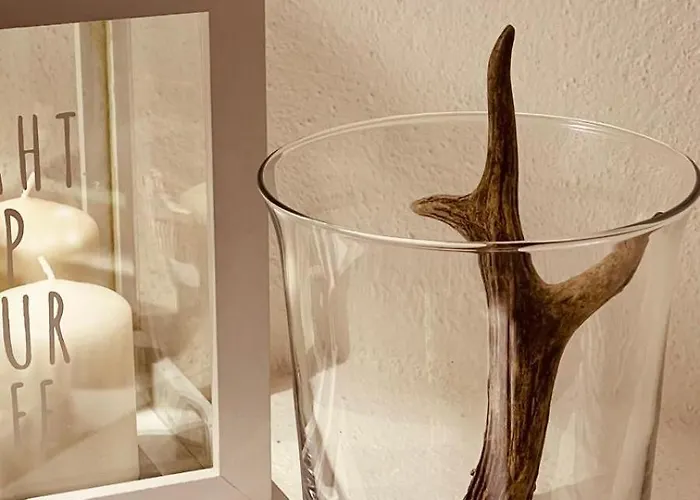 Casa vacanze La Sellerie Nus